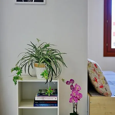 Domusfe Alghero